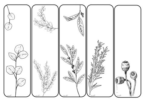 Salbei, Rosmarin, Oregano und Co: Auf den Lesezeichen tummeln sich diverse Kräuter und versprühen idyllischen Landhauscharme. Du kannst die Lesezeichen ausdrucken und danach gerne noch mit Farbe oder einem Schriftzug individualisieren. Auch eine schöne Geschenkidee für Leseratten und Kochfans, finden wir! Hier downloaden als PDF Du findest übrigens noch weitere Lesezeichen-Vorlagen im A4-Querformat bei uns... <a href="https://www.helpfully.de/lesezeichen-kra... Oregano