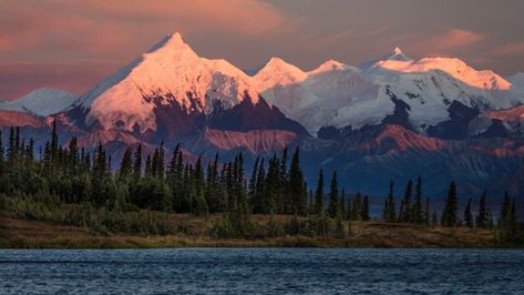 Mount Denali, Alaska Wilderness, Panoramic Photography, National Park Photos, Denali National Park, Vanity Fair, Places To Travel, Alaska, Photographic Print