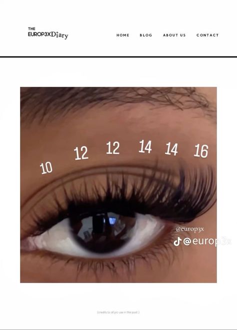 Fowendia Lash Map, Quewel Lash Map, Lash Layout Clusters, Eyelash Mapping Styles Clusters, Lashes Extensions Clusters, Lash Map Ideas Clusters, Volume Cluster Lashes Map, Lash Map With Clusters, Lash Inspo Eyelash Extensions Map