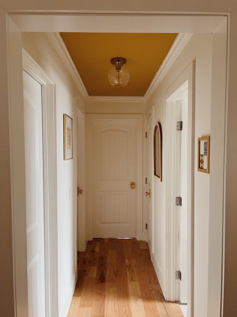 Masonite 30 in. x 80 in. 2 Panel … curated on LTK White Walls Yellow Trim, Hallway Ceiling Paint Ideas, Yellow Gold Paint Colors, Mustard Hallway, Earth Toned Home, Small Hallway Design, Yellow Wall Color, Warm Yellow Paint Colors, Mustard Yellow Paint Colors