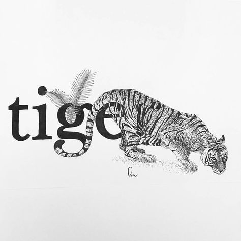 "Tiger" by @robertmurray539 | #blackworknow if you would like to be featured  Submissions/business inquiries blackworknow@gmail.com  Follow our tattoo page @blacktattoonow our illustration page @tempuradesign and our new born @illustrationow Tiger Cat, White Illustration, Black And White Illustration, Big Cat, Illustration Drawing, Cat Photo, Big Cats, Typography Design, Product Design