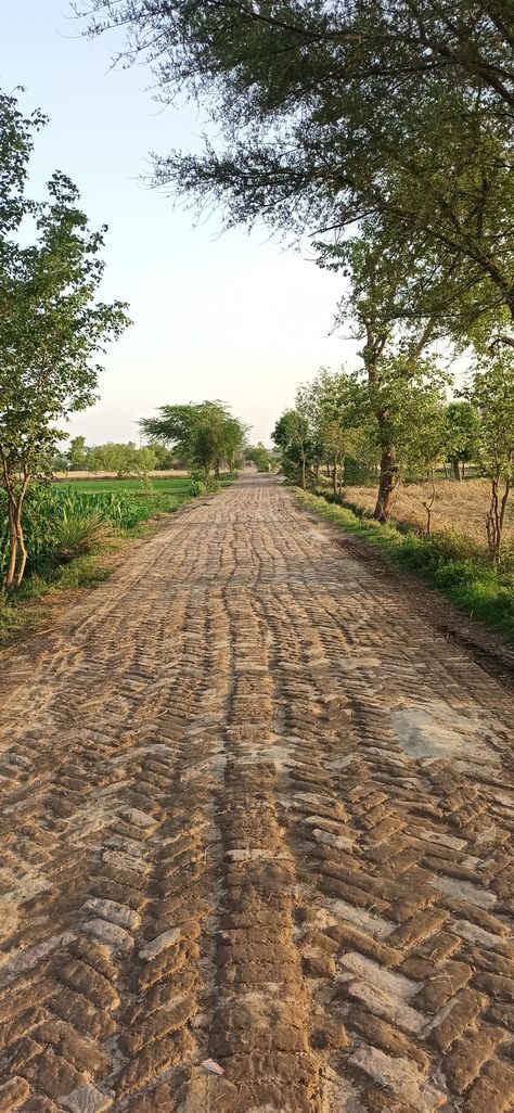 Village Road Background For Editing, Indian Roads Photography, Village Background For Editing, Punjab Village Photography, Indian Nature Photography, Indian Village Photography, Indian Village Aesthetic, Village Life Photography, Village Life Aesthetic