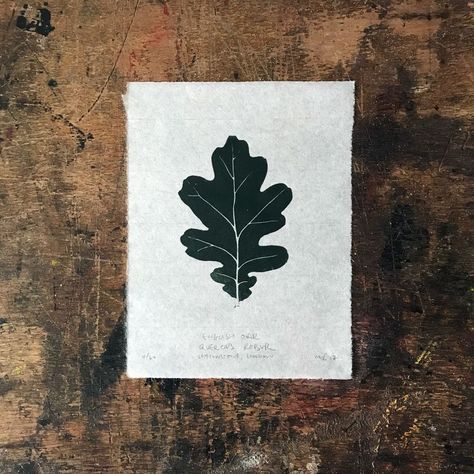 Linoprint Ideas, Oak Tattoo, Illustrated Plants, Oak Leaf Art, Folder Ideas, Lino Cuts, Lino Printing, Lino Art, Lino Prints