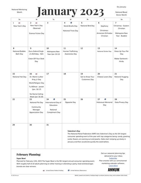 January 2023 Printable Calendar With Holidays January Holidays, January 2024 Calendar, National Holiday Calendar, World Braille Day, Calendar With Holidays, Calendar January, National Day Calendar, Islamic Holidays, January Calendar