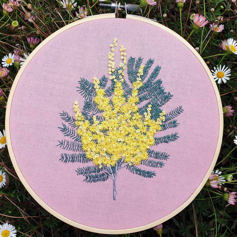 Acacia Dealbata, Acacia Baileyana, Golden Wattle, Looking Out The Window, Embroidery Hoop Art, Embroidery Inspiration, Hoop Art, The Birds, Beautiful Embroidery