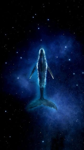 Whale Night Sky, Whales In Space, Sky Whale Wallpaper, Sharks In Space, Space Whale Art, Whale Wallpapers, Whale In Space, Whale In The Sky, Blue Whale Art