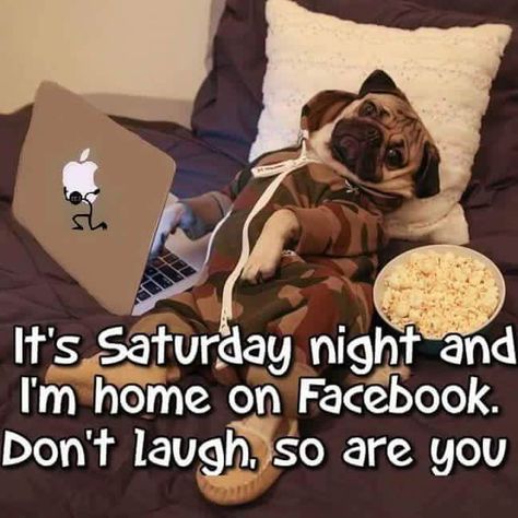 Jokes For Teens, Animals Food, Lol Pics, Happy Birthday Quotes Funny, Love Quotes Funny, Funny Animal Quotes, A Pug, Funny Animal Memes, Funny Love