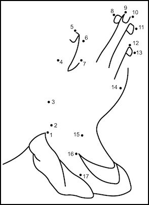 Praying hands Sunday School Projects, Sunday School Coloring Pages, Children's Church Crafts, Bible Activities For Kids, Sunday School Crafts For Kids, Preschool Bible, Bible School Crafts, School Coloring Pages, Bible Coloring Pages