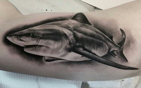 shark tattoo black & grey More Tattoo Black Grey, Scuba Tattoo, Hai Tattoo, Underwater Tattoo, Hd Tattoos, Sailboat Tattoo, Boat Tattoo, Shark Tattoo, King Tattoos