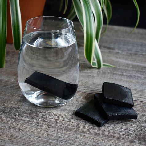 Go Plastic Free With These Charcoal Water Filters Water Filtration Diy, Charcoal Water Filter, Active Charcoal, Charcoal Water, Wood Charcoal, Toxic Cleaning Products, Water Filters, Tap Water, Compostable Packaging