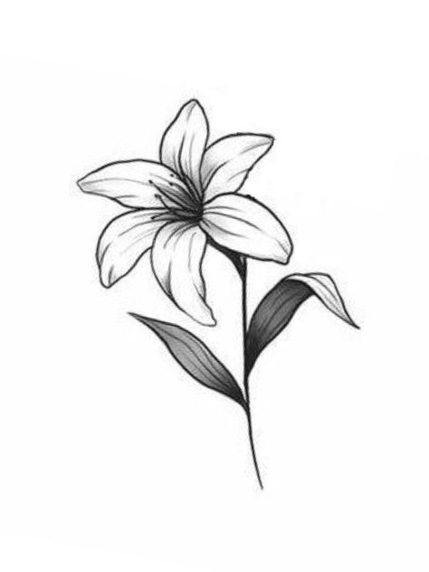 Single Flower Tattoo Stencil, Simple Lilly Drawing, Lilly Flower Drawing Simple, Daylillies Drawing, Lilly Flower Tattoo Designs Simple, Simple Lilly Tattoo, Lily Doodle, Lily Stencil, Lilly Drawing