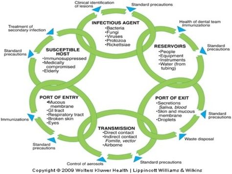 The chain of infection and where the levels of prevention play a role. Chain Of Infection Poster, Chain Of Infection, Nursing Fundamentals, Communicable Diseases, Nursing Graduation Pictures, Nursing Life, Nursing School Motivation, Nursing School Survival, Infection Prevention