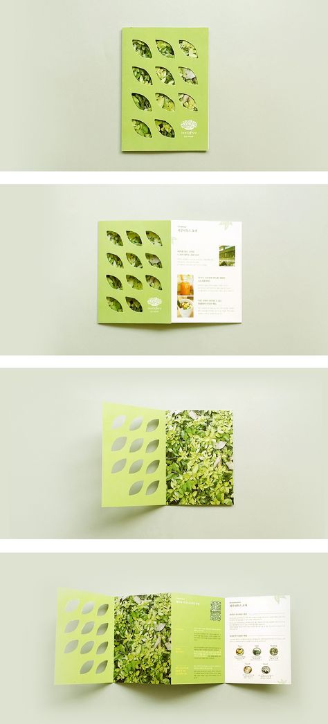 Design De Configuration, Graphics Portfolio, Concept Inspiration, 브로셔 디자인, Brochure Design Creative, Brochure Inspiration, Pamphlet Design, Dm Design, Info Graphic