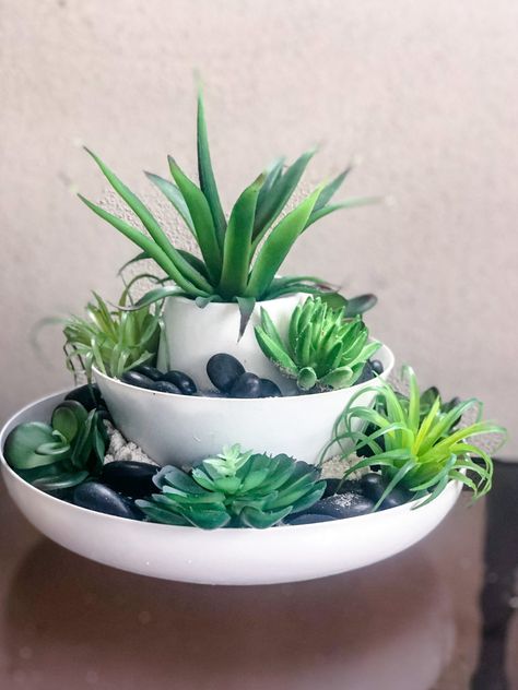 Diy Succulent Planter, Succulent Arrangements Diy, Indoor Succulent Planter, Succulent Tree, نباتات منزلية, Diy Arrangements, Diy Dollar Tree Decor, Dollar Tree Decor, Dollar Tree Diy Crafts