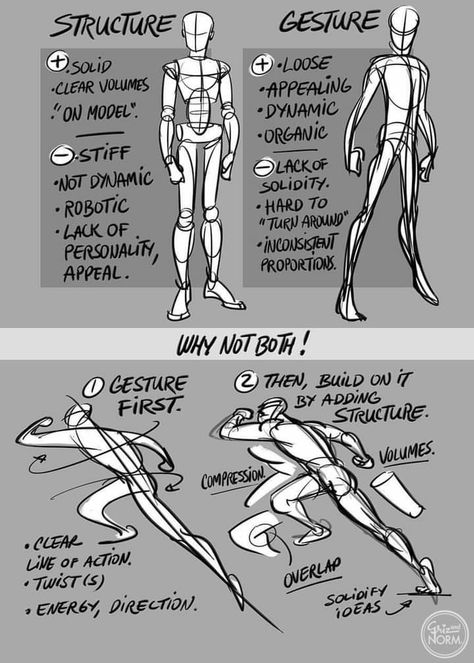 Cartoon Tutorial, Comic Tutorial, Art Advice, Human Anatomy Drawing, Human Anatomy Art, Body Reference Drawing, Gesture Drawing, Anatomy Drawing, Figure Drawing Reference