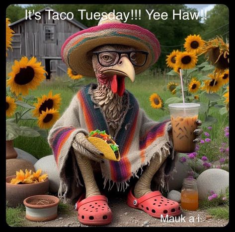 Good Tuesday Morning Funny, Happy Taco Tuesday Funny, Thanksgiving Engagement Post, Happy Thanksgiving Funny Humor, Tuesday Humor Funny Hilarious, Happy Tuesday Funny, Taco Tuesday Humor, Tuesday Humor Funny Hilarious Laughing, Weekday Humor