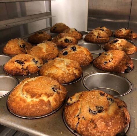 Weight Watchers : Recipes & Tips | Your family will thank you for this one point blueberry muffins One Point Blueberry Muffins, Weight Watchers Blueberry Muffins, Muffins Easy, Pancake Mix Recipes, Smart Points Recipes, Easy Recipes For Beginners, Kodiak Cakes, Weight Watchers Recipes, Protein Muffins