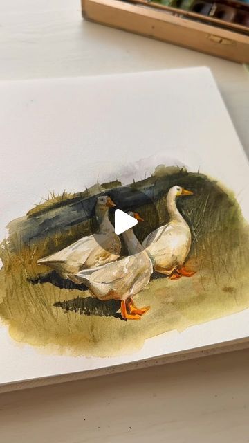 Sam Goetsch | Watercolor Artist on Instagram: "geese! (or ducks 🙃) a little throwback reel from last year!

Lowkey I miss this setup with my white desk and sunlight pouring in every morning. It’s at my old apartment which I’m officially moving out of this month so that’s been a doozy to figure out 😅. All good things though so I’m excited for the future 🙌🏻
.
.
#watercolor #watercolorpainting #ducks #ducklovers #duckart #ducklings #duckface #duck #geese #sketchbook #painting #nature #naturelovers" Duck Watercolor, Watercolor Duck, Sketchbook Painting, Ducks Unlimited, Duck Art, Instagram Painting, Old Apartments, Art Process, Duck Face