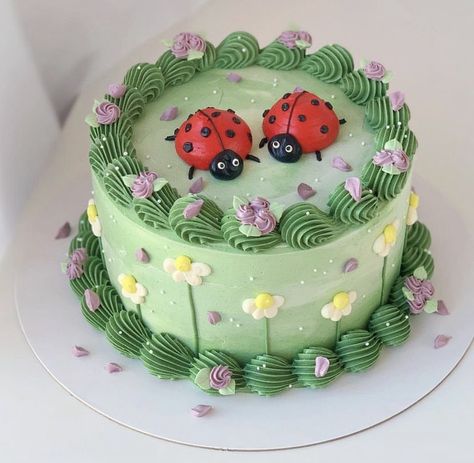 Bug Smash Cake, Bug Cake Ideas, Bug Dessert, Ladybug Cake Ideas, Hbd Ideas, Ladybug Birthday Cake, Bug Birthday Cakes, Ladybird Cake, Pokemon Birthday Cake