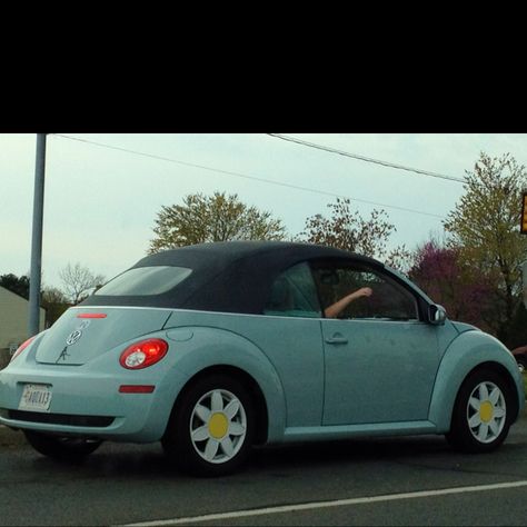 If I ever get my bug, I am so getting these wheel covers! Beetle Cars With Daisy Rims, Volkswagen Beetle Daisy Rims, Daisy Rims, Volkswagen Beetle Decor, Daisy Wheels, Vw Beetle Flower, Car Reference, Vw Beetle Convertible, Green Beetle