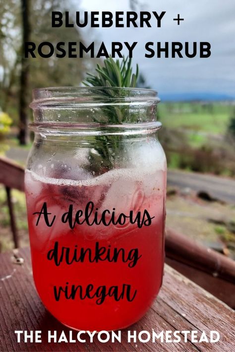 Party like it's 1775 with this sweet and tangy colonial shrub drink using frozen blueberries and fresh rosemary from the garden. Using Frozen Blueberries, Blueberry Shrub, Shrub Drink, Shrub Recipe, Kombucha Flavors, Drinking Vinegar, Homemade Kombucha, Homemade Liquor, Fermentation Recipes