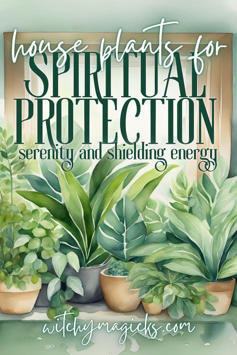 Discover the best house plants for spiritual protection and create a serene, shielded space. Learn how these botanical guardians can enhance your home’s energy, promote tranquility, and ward off negativity. Embrace the power of nature for a harmonious and protected environment.   #SpiritualProtection #HousePlants #EnergyShielding #WitchyHome #BotanicalGuardians #SerenityAtHome #ShieldingEnergy #Serenity #HousePlant #HerbalMagic #WitchyMagicks #Herbs Healing Plants Indoor, Green Witch House Plants, Plants For Witchcraft, Witchy House Plants, Protective Wards For Home, Witchy Plants Aesthetic, Plants For Good Energy, Spiritual Plants, Zen Plants