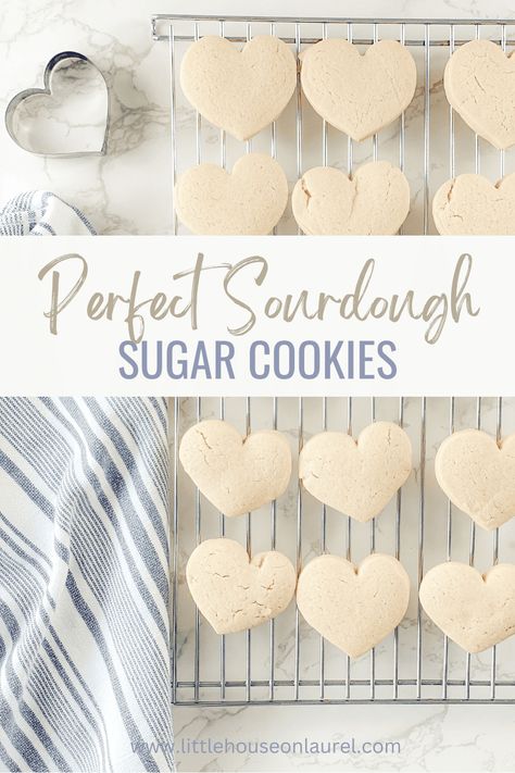 Perfect Sourdough Discard Sugar Cookies Cut-Outs Blueberry Zucchini Bread, Sourdough Bread Starter, Sourdough Starter Discard Recipe, Homemade Sourdough Bread, Bread Starter, Gluten Free Cookie Recipes, Sourdough Starter Recipe, Sugar Free Cookies, Cozy Day