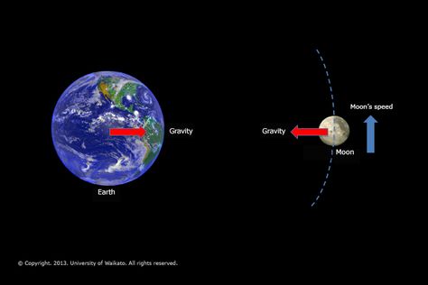 Earth-Moon system and gravity — Science Learning Hub Gravity Science, Earth Gravity, Ocean Horizon, Other Planets, Sun And Earth, Solar System Planets, Moon And Sun, Learning Science, A Force