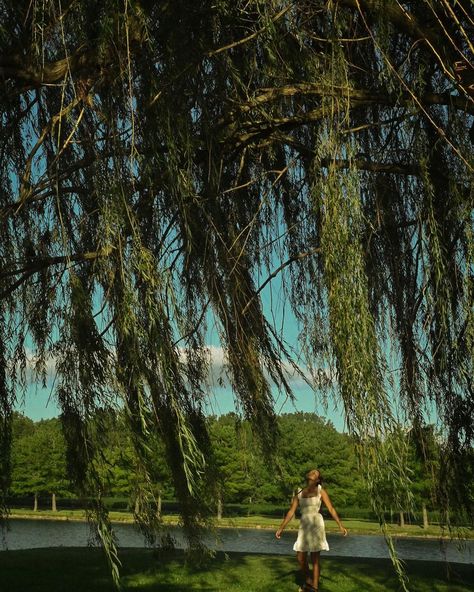 A senior shoot under the willow with the beautiful @wai.khaii 🌳🪷🌊🌅 • • • • Keywords: visual poetry, summer, pinterest, Indiana, couple photos, documentary style photography, Indiana photographer, vintage, storytelling photography, cinematic style photography, golden hour, summer photoshoot, Summer inspo, wildflowers, spring, senior photos, art, golden hour photos, pinterest inspo, Sunsets, vsco, couple photography, senior, senior pictures, class of 2025, 2025 senior, documentary, storytelling... Vintage Senior Pictures, Documentary Style Photography, Photography Cinematic, Photoshoot Summer, Golden Hour Photos, Class Of 2025, Storytelling Photography, Summer Photoshoot, Visual Poetry