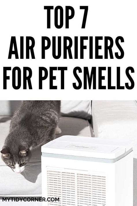 Pet Friendly Air Freshener, Air Purifier For Pets, Best Air Purifier For Pets, Pet Odor Eliminator House, Odor Eliminator House, Odor Eliminator Diy, Cat Smell, Pet Urine Smell, Pet Odor Remover