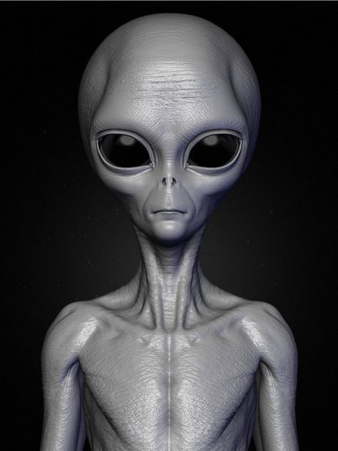 Realistic Alien 8 Sculpt 3D Model .max .c4d .obj .3ds .fbx .lwo .stl @3DExport.com by supergamecharacters Realistic Alien, Fibonacci Spiral Art, Creature 3d, Alien 2, Alien Drawings, Grey Alien, Alien Tattoo, Arte Alien, Aliens And Ufos