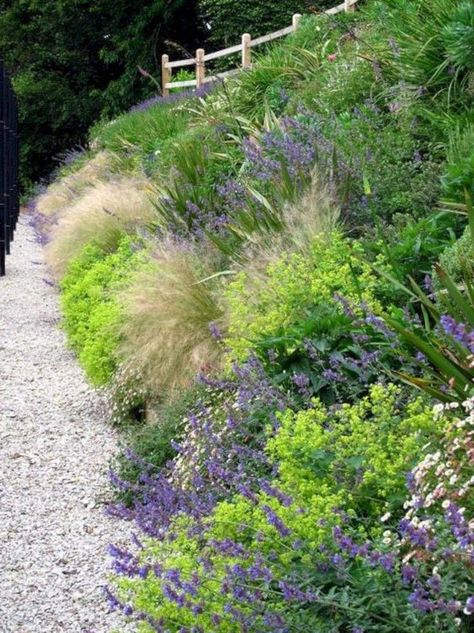 Sloped Front Yard Landscaping, Slope Planting, Home Front Yard, Sloped Front Yard, Garden Australia, Slope Landscape, Garden Path Lighting, Urban Gardening Ideas, Gravel Walkway