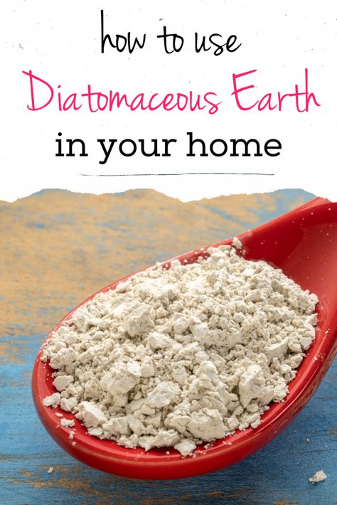 Diatomaceous Earth Uses: 13 Smart Ways to Use Diatomaceous Earth In Your Home - it's a love/love thing Diatomaceous Earth Uses, Herbal Potions, Ants In Garden, Homesteading Life, Diatomaceous Earth Food Grade, Ants In House, Kill Ants, Get Rid Of Ants, Diy Pest Control