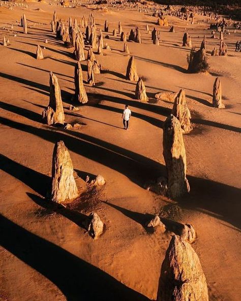 Roam Aus | Australia on Instagram: "Number 9 of our top 10 favourite Australian National Parks is #Nambung National Park, most famous for the “The Pinnacles” in Western Australia. Thousands of pinnacles or pillars rise up from the yellow sand bordering the Indian Ocean; some dating upto 3.6 million years old. With over 176 species of wildlife, you’ll likely bump into some of the local Emus, Red kangaroos of even humpback whales during their yearly migration. 📸 @gavin.fleay @marcokraus_ Che Pinnacles Desert, Nambung National Park, Instagram Number, Pinnacles National Park, Secluded Beach, Number 9, White Water Rafting, Surfing Waves, Beaches In The World