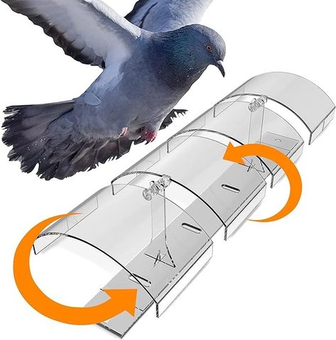 Amazon.com : Petslandia Bird Deterrent System - Polycarbonate UV Resistant Pigeon Deterrent, Cruelty-Free Pigeon Proof, Long Lasting, Suitable for Balconies, Patios and Outdoors (118 in) : Patio, Lawn & Garden Pigeon Repellent, Pigeon Deterrent, Scary Birds, Bird Deterrents, Bird Control, Bird Repellents, Bird Netting, Insect Spray, Bug Killer