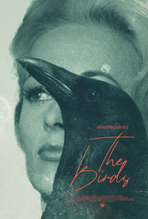 Birds Hitchcock, Animal Horror, The Birds Movie, Film Princess, Camera Poster, Classic Film Posters, Alfred Hitchcock The Birds, Movie Behind The Scenes, Cinema Screen