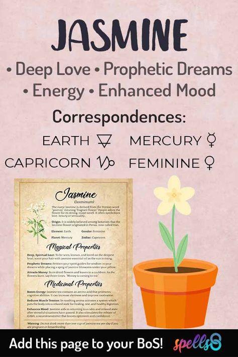 Elemental Correspondences, Witchcraft Stuff, Healing Salve Recipe, Love Rituals, Prophetic Dreams, Witch Spells, Witch Tips, Magickal Herbs, Witch Herbs