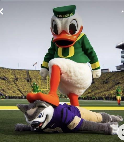 Huskies Football, Oregon Football, Ducks Football, Football Images, Oregon Ducks Football, Baby Ducks, University Of Oregon, Football Pictures, Oregon Ducks