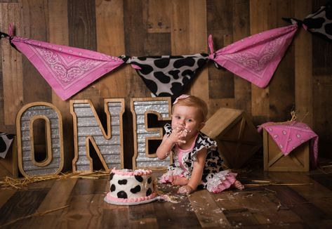 Cow Theme Cake Smash Photoshoot, Cowgirl Smash Cake Pictures, Cow Themed First Birthday Photoshoot, One Year Old Cow Photoshoot, Cow Smash Cake Photoshoot, My First Rodeo Birthday Cake Smash, Cow Themed Photo Shoot, Cake Smash Cow Theme, Cow Theme 1st Birthday Photoshoot