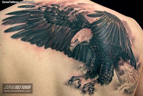 Tatuaje de águila hecho por Jaroslav Snejdar, de Lleida (España). Si quieres ponerte en contacto con él para un tatuaje visita su perfil: http://www.zonatattoos.com/yarda  #tatuajes #tattoos #ink #aguilas Eagle Shoulder Tattoo, Bald Eagle Tattoos, Scorpio Zodiac Tattoos, Hawk Tattoo, Nature Tattoo Sleeve, Scorpion Tattoo, Eagle Tattoos, Chest Tattoo Men, Eagle Tattoo