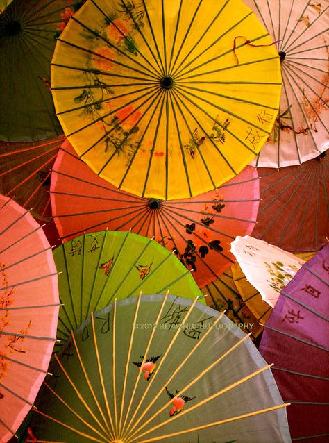 Paper parasol. Chinese Umbrella. Chinese new by TheCozyOwlsNest Chinese Parasol, Chinese Umbrella, Paper Parasol, Japanese Umbrella, Catty Noir, Paper Umbrellas, Umbrella Art, Asian Inspiration, Asian Home Decor