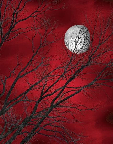 Tree Moon, Black Canvas Art, Moon Artwork, Creepy Drawings, Dark Tree, Wall Art Photography, Sky Tree, Dark Images, Red Wall Art