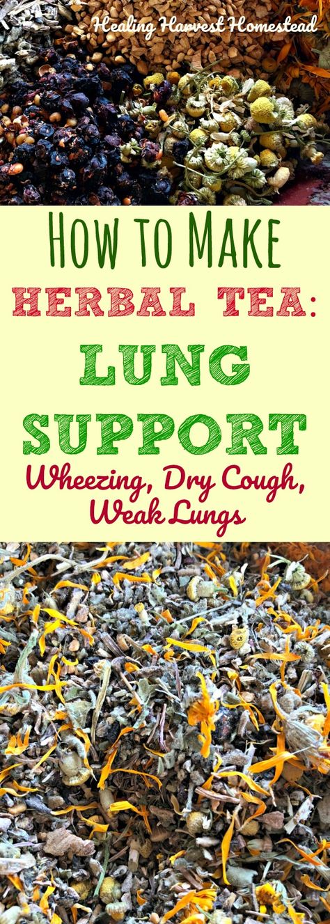 Here is a recipe for an herbal tea to support your lungs. If you have asthma symptoms with slight wheezing and dry cough or just weak lungs due to illness, including that cough that just won't leave....this tea is great for use as a daily tonic tea for chronic issues or even with acute problems. Enjoy this herbal lung support tea blend recipe! Lung Support, Tea Blends Recipes, Natural Asthma Remedies, Books And Tea, Asthma Remedies, Herbal Teas Recipes, Dry Cough, Asthma Symptoms, Herbal Recipes