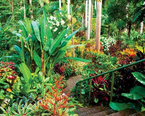 Travel Barbados, Caribbean Garden, Tropical Backyard Landscaping, Gardeners World, Tropical Garden Design, Tropical Backyard, Native Garden, Cottage House, Botanic Gardens