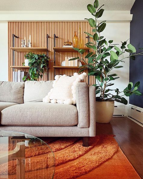 The Ficus Audrey is the next popular plant to own. Ficus Benghalensis Audrey, Audrey Ficus, Ficus Audrey Indoor, Audrey Ficus Tree, Ficus Audrey Tree, Ficus Audrey, Wood Slat Wall, Tv Wall Design, Fiddle Leaf Fig