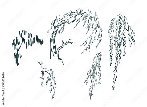 Willow Tree Illustration, Illustration Japanese, Landscape View, Vector Sketch, Line Art Design, Sketch Illustration, Tree Cards, Tree Illustration, Willow Tree