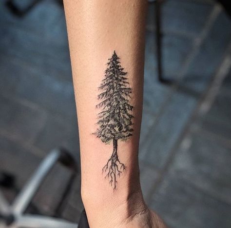 Tree tattoo #tattoo #treetattoo #roots #detailed #tree #wintergreen #wintergreentattoo Ladies Wrist Tattoos, Wrist Tree Tattoo, Tree Tattoo Drawings, Redwood Tattoo, Maple Tree Tattoos, Tree Roots Tattoo, Simple Tree Tattoo, Black And White Flower Tattoo, Pine Tattoo