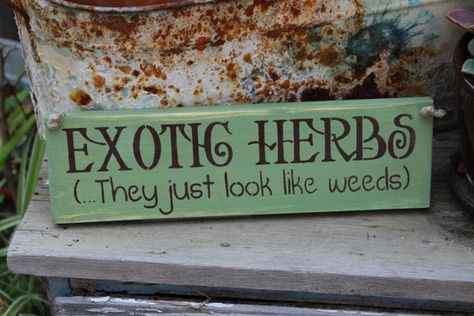 25 super funny Garden signs - A girl and a glue gun Herb Garden Gift, Gardening Signs, Pallet Herb Garden, Funny Garden Signs, Garden Sayings, Herb Garden Pallet, Gardening Humor, Gardening Quotes, Signs To Make