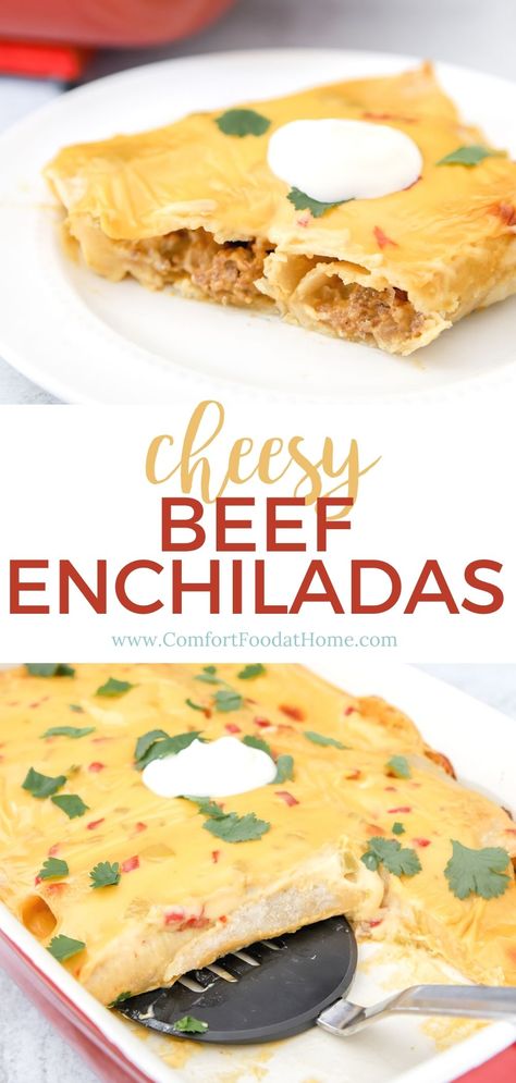 This beef enchilada recipe features a delicious meat and cheese filling, corn tortillas and a creamy decadent cheese sauce. It will delight your family and feed a crowd! Beef Enchiladas With Cheese Sauce, Cheesy Beef Enchiladas, Chicken Tortillas, Enchiladas Recipes, Recipe With Cheese, Lost Kitchen, Beef Enchilada Recipe, Beef Enchilada, Mexican Treats