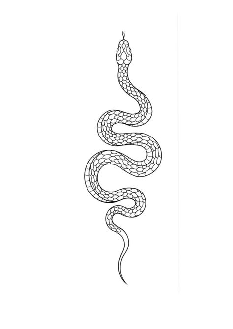 Small Snake Tattoo, Serpent Tattoo, Petit Tattoo, Snake Drawing, Snake Tattoo Design, Summer Tattoo, Tattoo Templates, Sketch Tattoo Design, Cute Small Tattoos